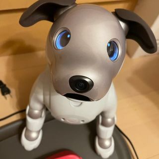 ソニー(SONY)のaibo ERS-1000 (その他)