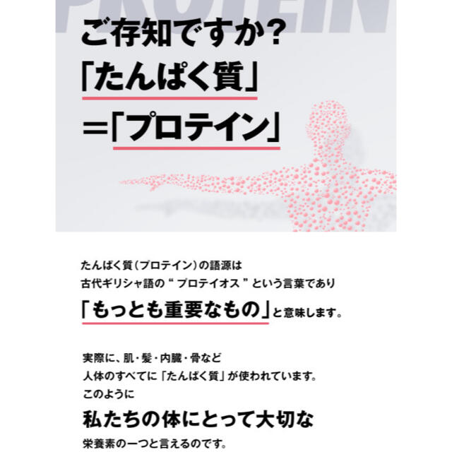 UHA味覚糖(ユーハミカクトウ)のUHA味覚糖　プロテインバー　SIXPACK    チョコレート味 食品/飲料/酒の健康食品(プロテイン)の商品写真