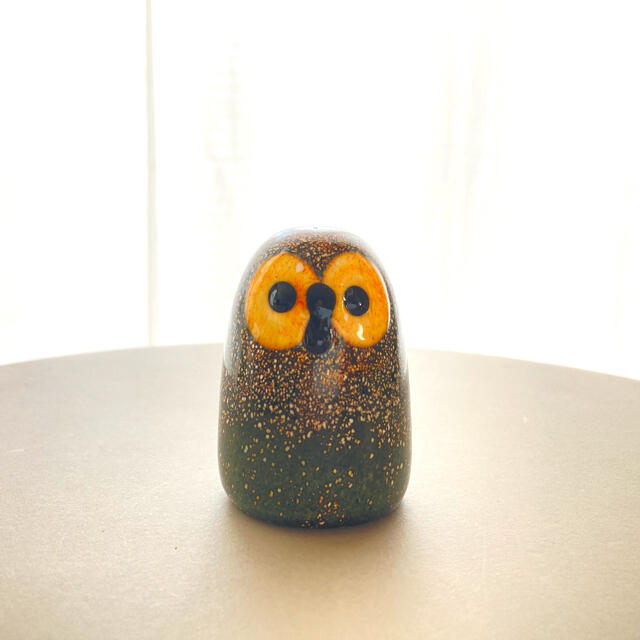 *売約済み* Little Burn Owl バード フクロウ 箱なし