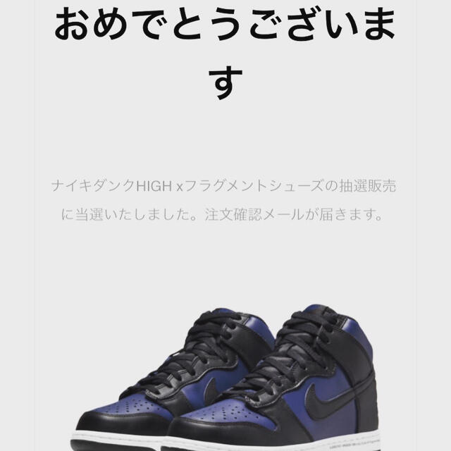 28.5cm NIKE フラグメント ダンク ハイ MIDNIGHT NAVY 1