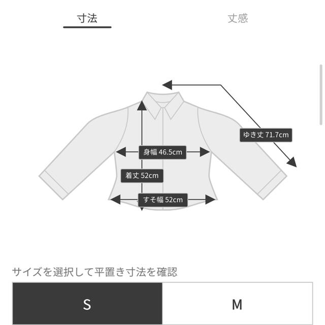 PROPORTION BODY DRESSING(プロポーションボディドレッシング)のプロポーションボディドレッシング　今期　ラッフルシフォン　ブラウス レディースのトップス(シャツ/ブラウス(長袖/七分))の商品写真