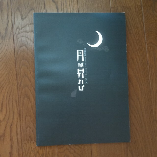 斉藤和義　月が昇れば　パンフレット エンタメ/ホビーのタレントグッズ(ミュージシャン)の商品写真