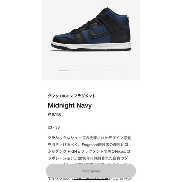 FRAGMENT(フラグメント)のnike fragment 28.5cm  メンズの靴/シューズ(スニーカー)の商品写真