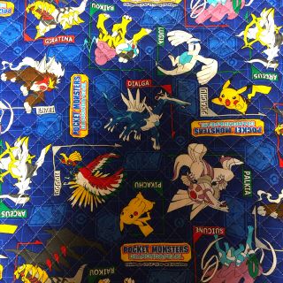 ポケモン 生地 糸の通販 300点以上 ポケモンのハンドメイドを買うならラクマ ポケモン 生地 糸の通販 300点以上 ポケモンのハンドメイドを買うならラクマ