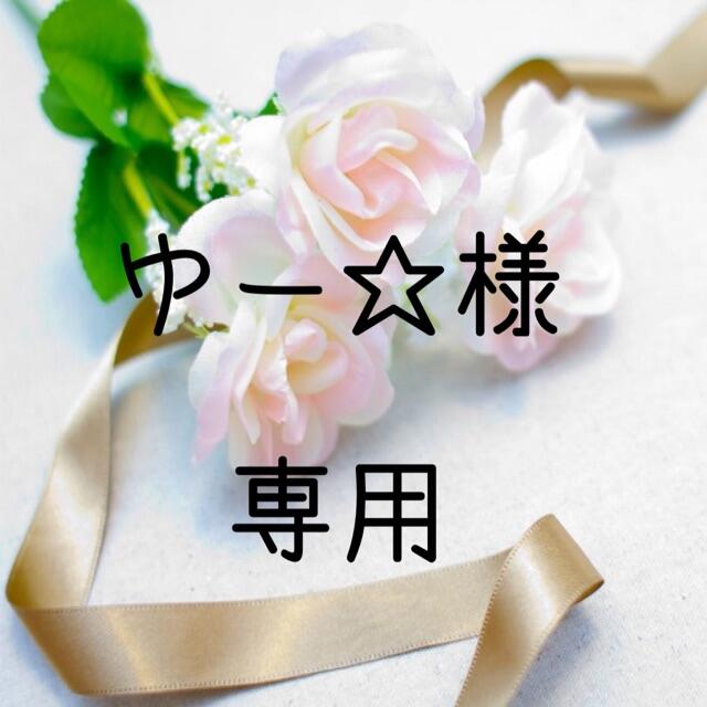 ゆー☆　お米　令和３年　愛媛県産コシヒカリ　玄米　20㎏