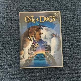 キャッツ＆ドッグス　特別版 DVD(舞台/ミュージカル)