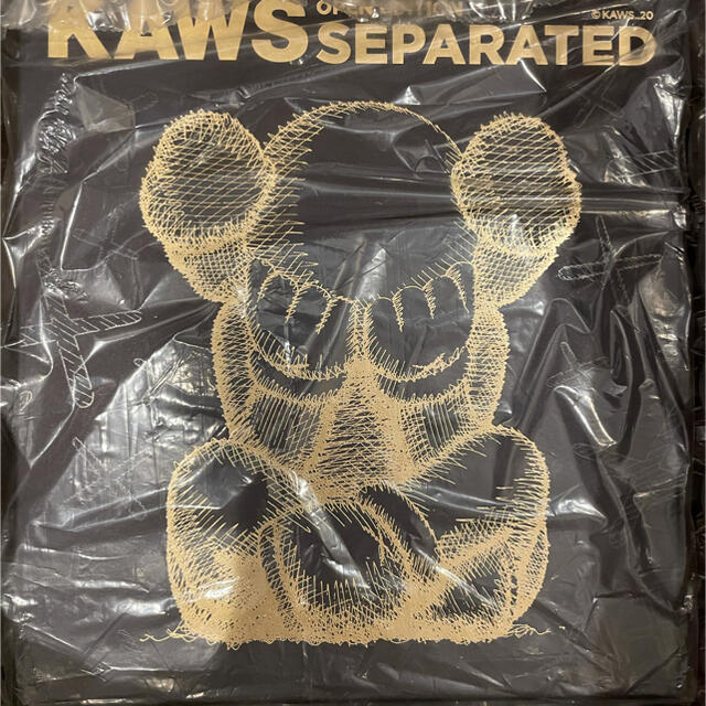 KAWS SEPARATED Black ブラック