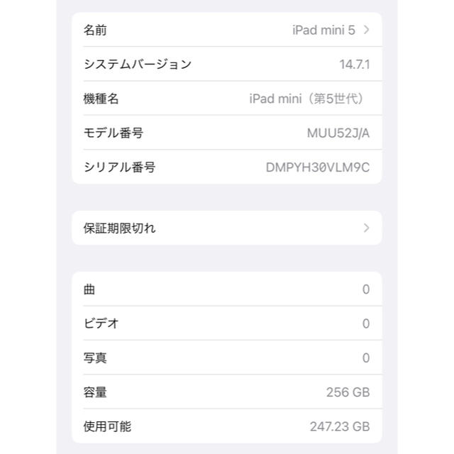 iPad mini 5 WiFi 256GB Apple Pencil,おまけ付