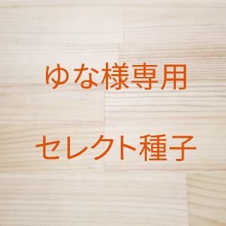 ゆな様専用　セレクト種子　3袋(野菜)