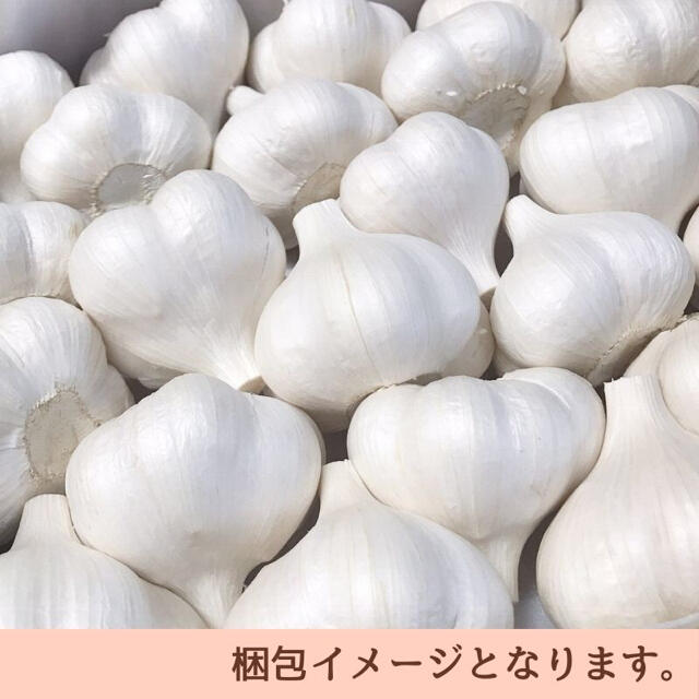 【福地ホワイト六片】青森県産にんにく 約1kg Mサイズ 2021年産 食品/飲料/酒の食品(野菜)の商品写真