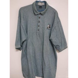 ポロラルフローレン(POLO RALPH LAUREN)のポロシャツ(ポロシャツ)