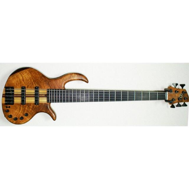 Elrick Platinum5 Classic NeckThru