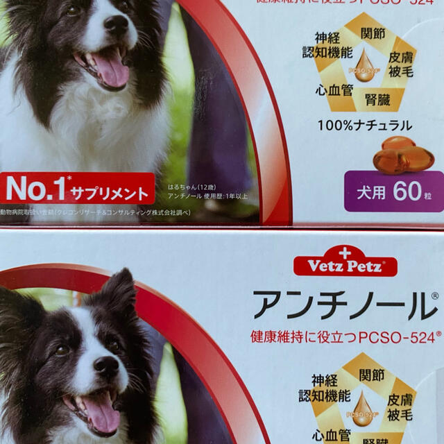 アンチノール犬用60粒　2箱セット