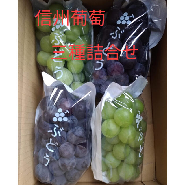 【信州葡萄】 黄甘、巨峰、ピオーネ 詰合せ 2kg(4房) ぶどう ブドウ 食品/飲料/酒の食品(フルーツ)の商品写真