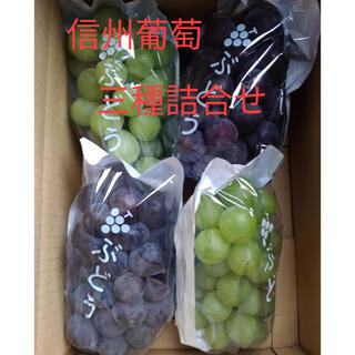 【信州葡萄】 黄甘、巨峰、ピオーネ 詰合せ 2kg(4房) ぶどう ブドウ(フルーツ)