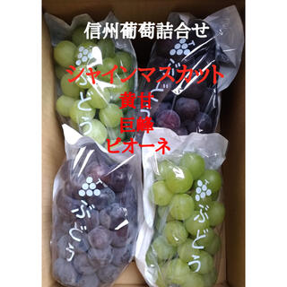 【信州葡萄】シャインマスカット、 黄甘、巨峰、ピオーネ、詰合せ 2kg(4房)(フルーツ)