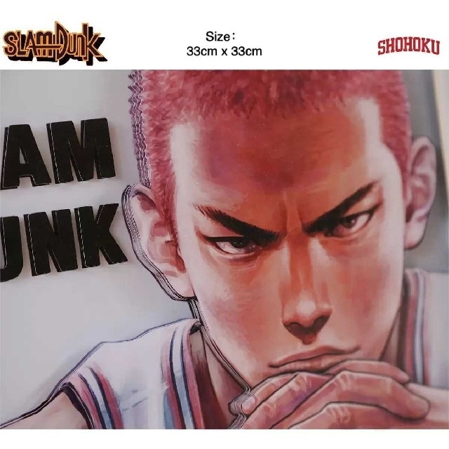 ????スラムダンク　SLAM DUNK◎桜木花道　立体 3D アート  絵画27