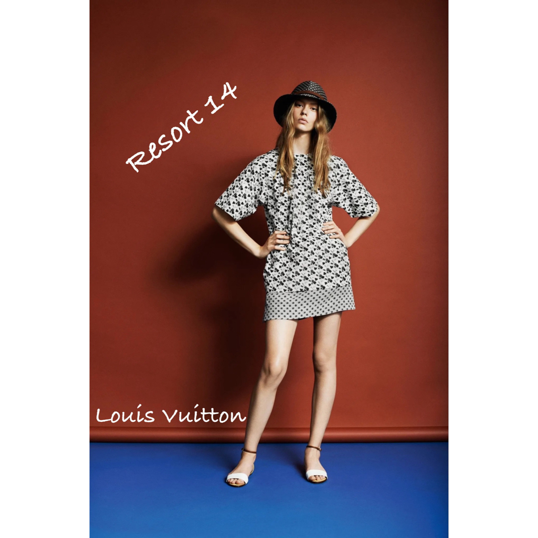 LOUIS VUITTON(ルイヴィトン)の14.15 Resor■ルイ・ヴィトン_半袖ブラウス/美品 花柄・ボタニカル 2 レディースのトップス(シャツ/ブラウス(半袖/袖なし))の商品写真