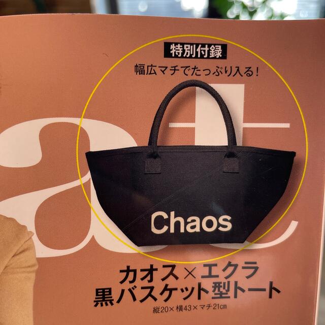 集英社(シュウエイシャ)のエクラ付録のみ レディースのバッグ(トートバッグ)の商品写真