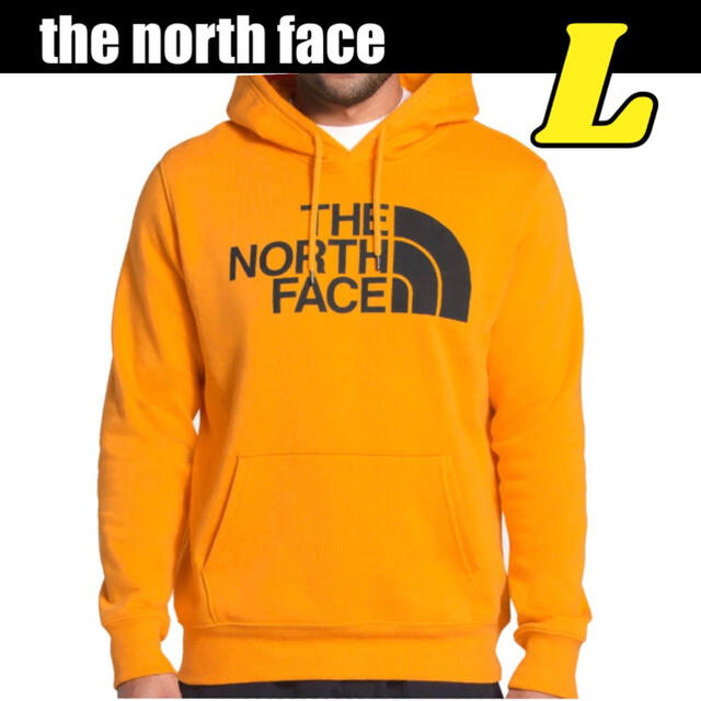 north face ノースフェイス　フーディー パーカー フリース メンズ