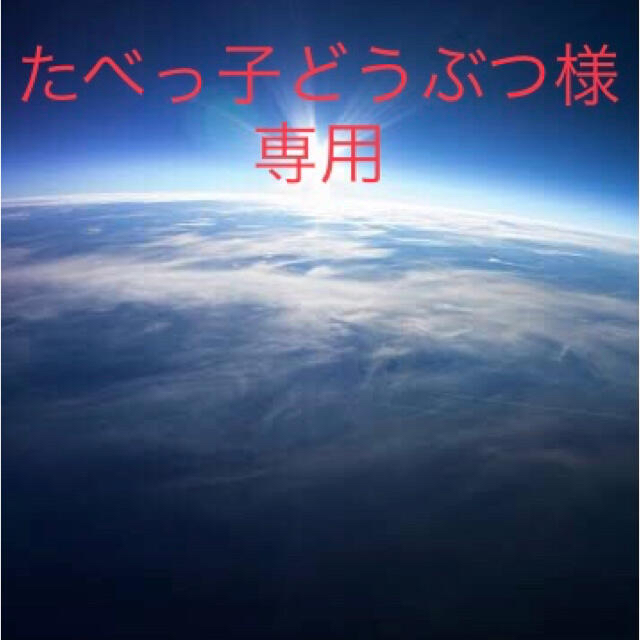 たべっ子どうぶつ様専用 その他のその他(オーダーメイド)の商品写真