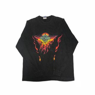 ハーレーダビッドソン(Harley Davidson)のHARLEY-DAVIDSON ハーレーダビットソン　ロングスリーブ　ロンT(Tシャツ/カットソー(七分/長袖))