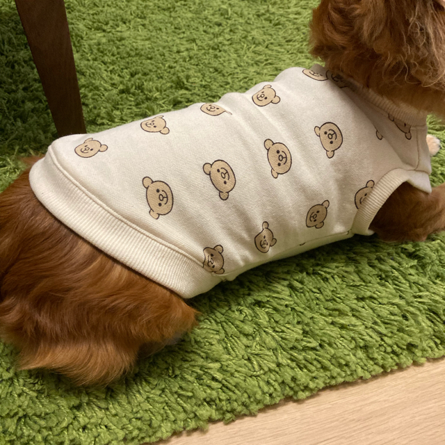 犬服ハンドメイド