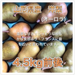 9601 山形県産 洋梨 オーロラ 4.5kg前後 訳あり 梨(フルーツ)