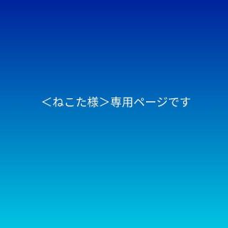 ねこた様>専用ページの通販 by おおとり's shop|ラクマ