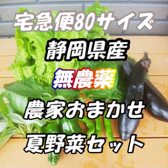 80サイズ*送料無料*静岡県産*無農薬*夏野菜詰め合わせセット*農家直送 食品/飲料/酒の食品(野菜)の商品写真