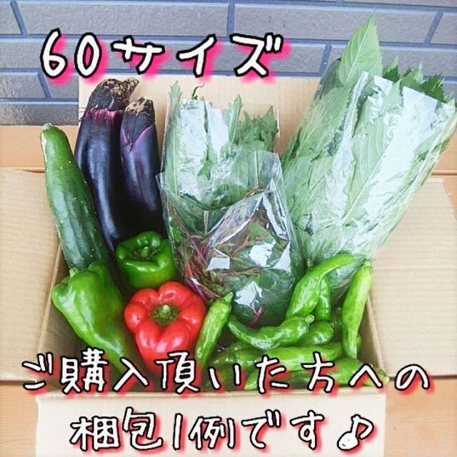 80サイズ*送料無料*静岡県産*無農薬*夏野菜詰め合わせセット*農家直送 食品/飲料/酒の食品(野菜)の商品写真