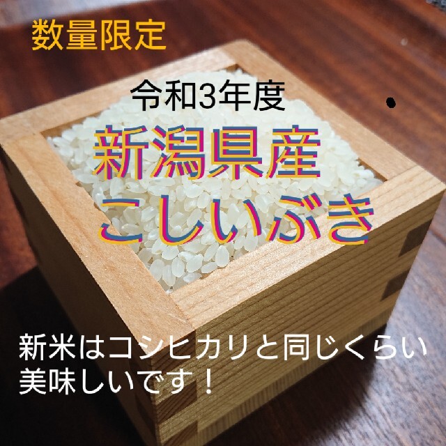 新潟県産こしいぶき　新米10㎏　米/穀物