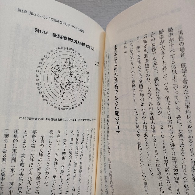 ワニブックス(ワニブックス)の『 ソロエコノミーの襲来 』★ 荒川和久 / 経済 日本社会 エンタメ/ホビーの本(人文/社会)の商品写真