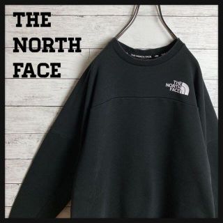 ザノースフェイス(THE NORTH FACE)の【即完モデル‼︎】THE NORTH FACE♧サイドロゴ スウェット N252(スウェット)