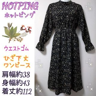 ホッピン(HOTPING)のホットピングの長袖ロングワンピース(ロングワンピース/マキシワンピース)