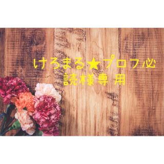 【けろまる★プロフ必読様専用】和装用髪飾り(その他)