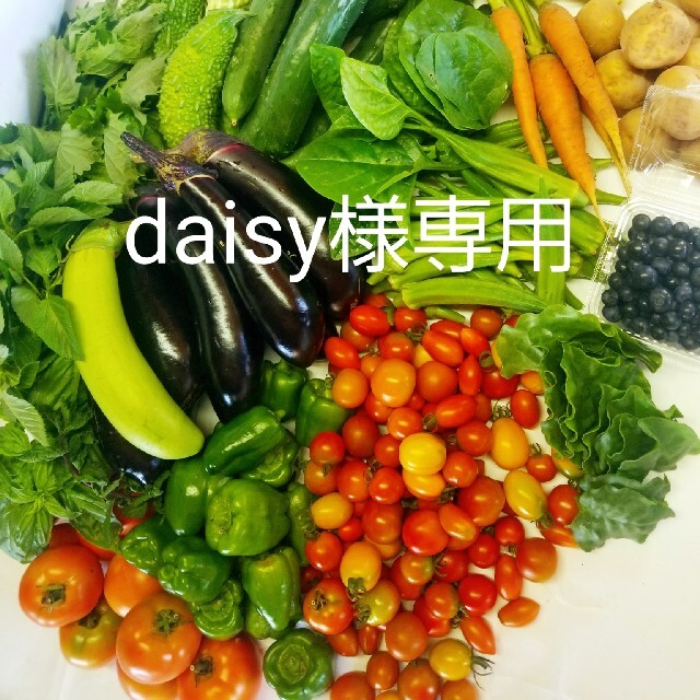 daisy様専用 食品/飲料/酒の食品(野菜)の商品写真