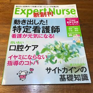 Expert Nurse (エキスパートナース) 2010年 05月号(専門誌)