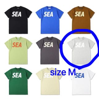 シー(SEA)のWIND AND SEA ウィンダンシー S/S Gray-White M(Tシャツ/カットソー(半袖/袖なし))