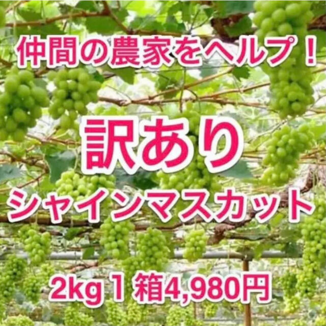 仲間の葡萄農家ヘルプ（山梨県産）訳ありシャインマスカット2kg１箱(数量限定)