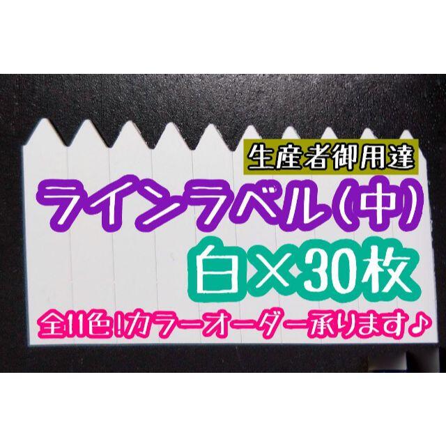 ◎ 30枚 ◎ 白 ( 中 ) ラインラベル 園芸ラベル カラーラベル ハンドメイドのフラワー/ガーデン(プランター)の商品写真