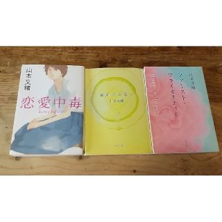 恋愛中毒、絶対泣かない、ファースト・プライオリティ ３冊セット　文庫本(文学/小説)