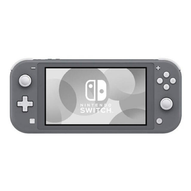 Nintendo Switch Liteグレー(その他備品付き)