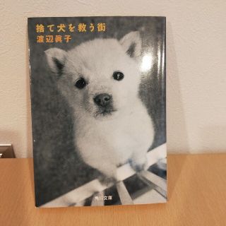 捨て犬を救う街(文学/小説)