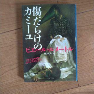 傷だらけのカミ－ユ(文学/小説)