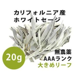 【無農薬】ホワイトセージ 　高品質20ｇ　解説マニュアル＆チャック付きポリ袋(お香/香炉)