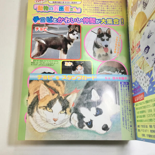 白泉社 月刊 動物のお医者さん 1 4巻 全巻セットの通販 By とんかつ屋さん ハクセンシャならラクマ 白泉社 月刊 動物のお医者さん 1 4巻 全巻セットの通販 By とんかつ屋さん ハクセンシャならラクマ