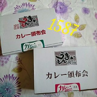 1587　楽ちゃん　様専用商品(レトルト食品)