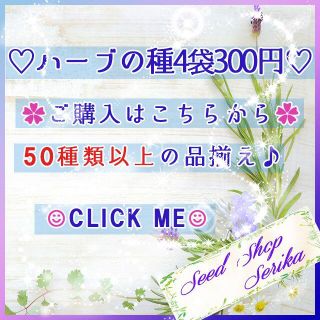 50種以上♪ ハーブの種 お好きな物 4種類 セット 家庭菜園 野菜 種子(その他)