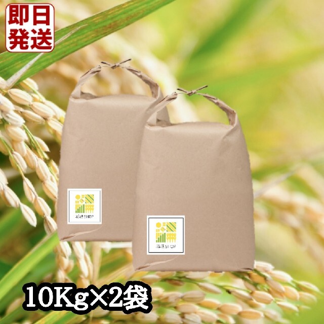 【スピード発送】特A　さがびより　白米20Kg　米 食品/飲料/酒の食品(米/穀物)の商品写真